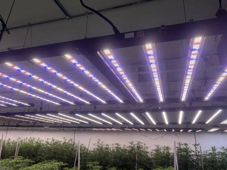 Key Features of LED Grow Light in 2026