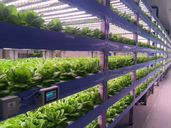 Automated Dimming Systems